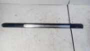 Schwellerverkleidung vorne links AUDI A8 D3 (4E2, 4E8) 3.0 TDI quattro 4E0853985C