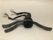 Schleifring Airbag Fiat Ducato Kasten (290)