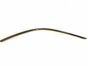 Fensterleiste Tür vorne links BMW 4 Convertible (G23, G83) 420 d Mild-Hybrid 748275403
