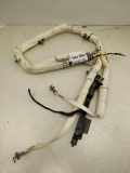 Dach SRS rechts LAND ROVER RANGE ROVER EVOQUE (L538) 2.0 4x4 BJ3214K159BB
