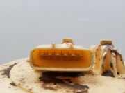 Kraftstoffpumpe Nissan Qashqai II (J11) 170404EA0A