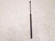 Heckklappe Gasdruckfeder links FORD C-MAX II (DXA/CB7, DXA/CEU) 2.0 TDCi AM51R406A10BA