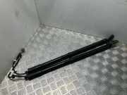 Heckklappe Gasdruckfeder links LAND ROVER RANGE ROVER SPORT (L320) 3.0 D 4x4 CH3270354AB 29032012
