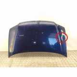 Motorhaube VW TOURAN (1T1, 1T2) 1.9 TDI