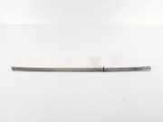 Türfensterleiste hinten links