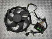 Elektrolüfter Citroen Xsara Picasso (N68) 1831237016
