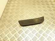 Innenschwellenzierleiste hinten links