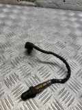 Sauerstoffsensor (Lambdasensor) BMW X5 (E70) xDrive 30 d 7791600