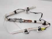 Airbag Dach rechts Ford Focus III (DYB) 1B6291600