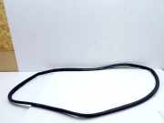 Türgummi rechts vorne Toyota Auris Touring Sports (E180)