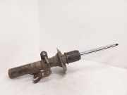 Stoßdämpfersatz Vorderachse Ford Transit Custom V362 Kasten (FY, FZ) BK2118045JA