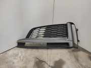 Kühlergrill unten Audi A5 (F53) 8W6807681
