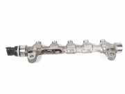 Einspritzleiste Kia Sportage 3 (SL) 314002A420