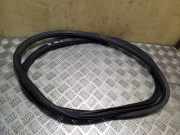 Türgummi links vorne Skoda Octavia II (1Z) 1Z0867365D