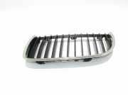 Gitter BMW 3 (E90) 318 d 22405910