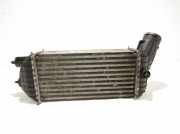 Ladeluftkühler PEUGEOT 5008 2.0 HDi 9673015780