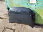 Motorhaube VW FOX (5Z1, 5Z3) 1.2