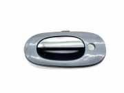 Türaußengriff vorne links