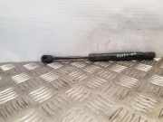 Heckklappendämpfer rechts Seat Toledo II (1M) 1M5827550B