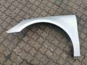 Kotflügel vorne links MERCEDES-BENZ R (W251, V251) R 320 CDI 4-matic (251.022, 251.122)