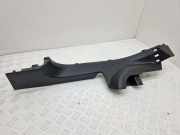 Schwellenverkleidung hinten links RENAULT SCÉNIC II (JM0/1_) 1.9 dCi (JM0G, JM12, JM1G, JM2C) 769536365R