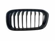 Vorderer oberer Gitter BMW 1 (F21) 116 d 7371687
