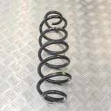 Schraubenfeder hinten links