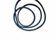 Türdichtungsgummi vorne links HYUNDAI ix55 3.0 V6 CRDi 4WD