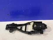 Türinnengriffrahmen hinten links POLESTAR 2 (534) EV EV 30747098