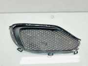 Gitter vorne unten MERCEDES-BENZ A (W176) A 200 CDI / d (176.008) A1768852700
