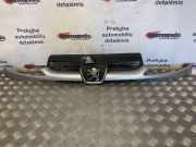 Kühlergrill komplett Peugeot 206 Schrägheck (2A/C) 9628691277