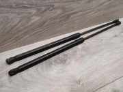 Heckklappe Gasdruckfeder links MERCEDES-BENZ C T-Model (S203) C 220 CDI (203.206)