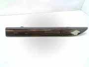 Armaturenbrett Verkleidung