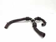 Schlauch Kühlung VW TIGUAN (5N_) 2.0 TDI 4motion 5N0122157BP