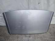 Dach OPEL ASTRA H (L48) 1.6 13197729