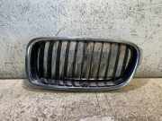 Vorderer oberer Gitter BMW 3 (F30, F80) 320 i 7263481