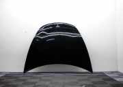 Motorhaube TESLA MODEL 3 EV AWD