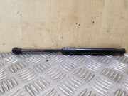 Gasfeder für Motorhaube Audi Q5 (8R) 8R0823359A