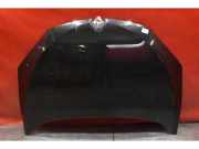 Motorhaube Renault Megane II Grandtour (KM)