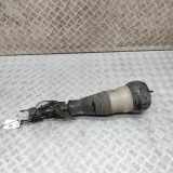 Pneumatischer Stoßdämpfer vorne links MERCEDES-BENZ S Coupe (C217) S 500 (217.382) A2173201500