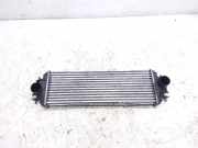 Ladeluftkühler OPEL VIVARO Furgon (F7) 1.9 DTI 868926q 91166035