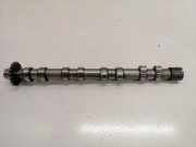 Einlassnockenwelle FORD S-MAX (WA6) 2.0 TDCi 001200417 TKAPI16524