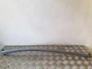 Türpolsterverkleidung hinten links BMW 7 (E65, E66, E67) 730 Ld 7149979 51427149979