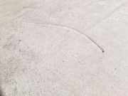 Dachleiste links VW TOUAREG (7LA, 7L6, 7L7) 2.5 R5 TDI