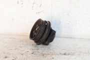Generatorriemen des Spanners VOLVO V70 III (BW) D3 / D4 31258133