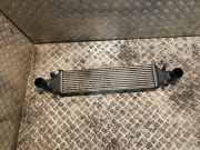 Ladeluftkühler Mercedes-Benz SLK (R172) 2045000200