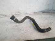 Schlauch Kühlung FORD FOCUS (DAW, DBW) 1.6 TDCi ECOnetic