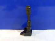 Zündspule VOLVO S60 III (224) 2.0 T6 31312514