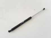 Heckklappe Gasdruckfeder rechts RENAULT CLIO III (BR0/1, CR0/1) 1.5 dCi (C/BR0G, C/BR1G) 8200299546