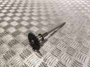 Zahnrad für Verteilerwelle Audi A6 Avant (4F, C6) 079109570AP